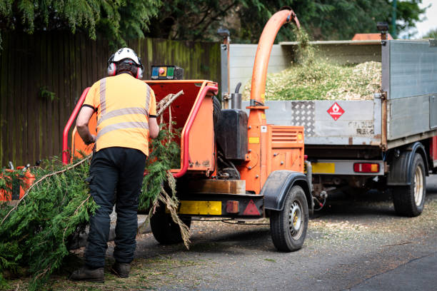 Best Tree Clearing Services  in Roebuck, SC